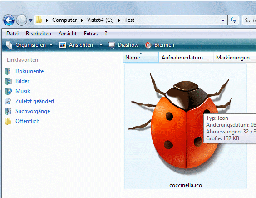 Ladybug icon in Vista